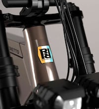 Advanced Timeless Aesthetic eBikes Image 4