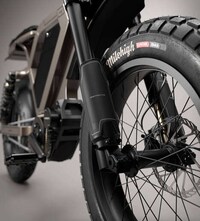 Advanced Timeless Aesthetic eBikes Image 7