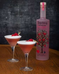 Wonky Fruit Vodkas Image 2
