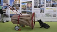Rollable Bell-Shaped Dog Kennels Image 3