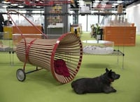 Rollable Bell-Shaped Dog Kennels Image 4