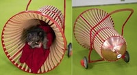 Rollable Bell-Shaped Dog Kennels Image 5