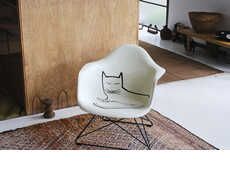 Feline-Graphic Limited Chairs