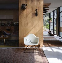 Feline-Graphic Limited Chairs Image 2