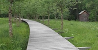 Biophilic Serene Communities Image 2