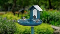 Smart Bird Baths Image 1