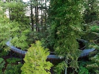 Botanical Public Garden Updates Image 2