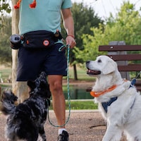 Dog Walker Fanny Packs