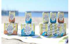 Spiked Summertime Lemonade Drinks