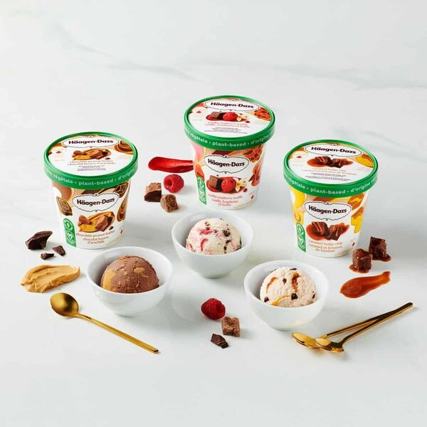 Decadent Oat-Based Frozen Desserts