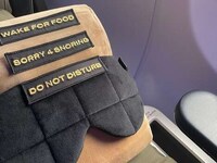 Posture-Aligned Travel Pillows Image 4