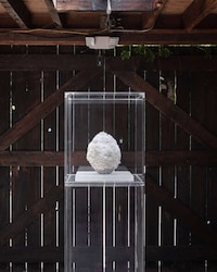 Craft Prize Artful Exhibitions Image 2