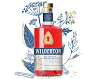 Zero-Alcohol Botanical Spirits Image 2