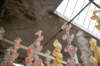 Biomaterial Color-Changing Installations