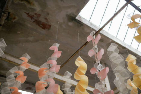 Biomaterial Color-Changing Installations