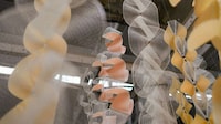 Biomaterial Color-Changing Installations Image 3