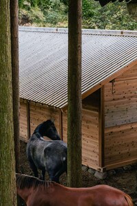 Traditional Japanese Wooden Stables Image 2