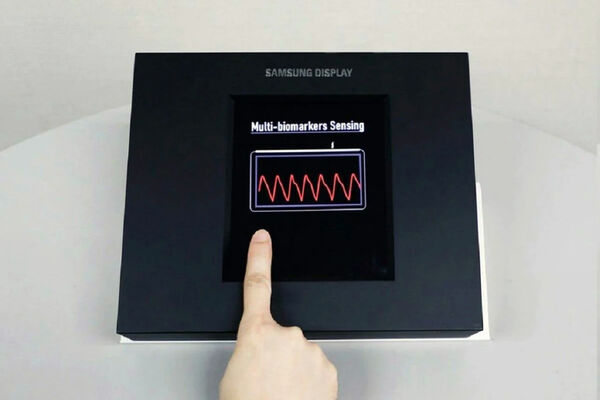 Fingerprint Scanner Displays