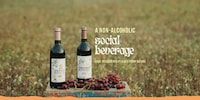 Functional Non-Alcoholic Beverages Image 1