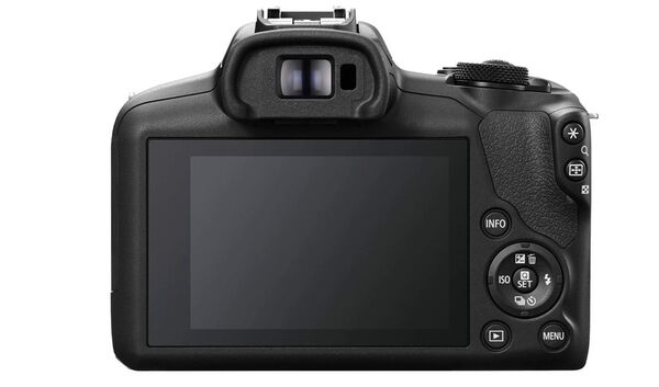 Mirrorless Interchangeable Cameras