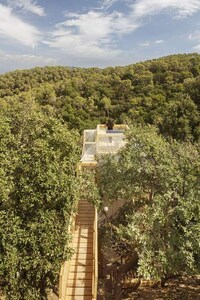 Mass-Timber Research Pavilion Image 2