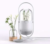Flower-Filled Humidifiers Image 1