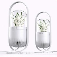 Flower-Filled Humidifiers Image 4