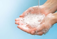 Vet-Targeted Hygiene Training Image 1