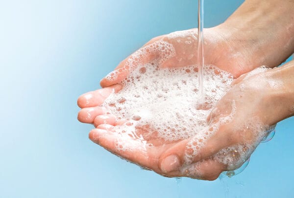 Vet-Targeted Hygiene Training