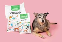 Plant-Powered Senior Dog Foods Image 2