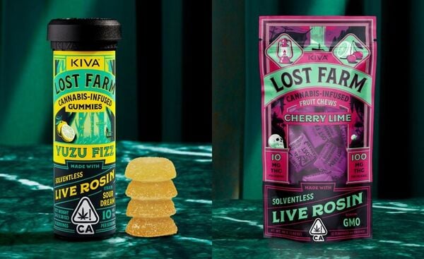 Solventless Edible Cannabis Products