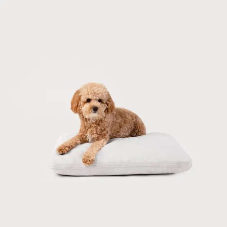 Outdoor-Ready Durable Dog Beds