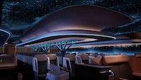 Sustainable Air Travel Concepts
