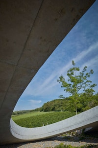 Greenery-Topped Winery Designs Image 3