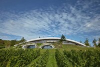 Greenery-Topped Winery Designs Image 7