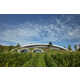 Greenery-Topped Winery Designs Image 7