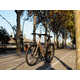 Special-Edition Urban E-Bikes Image 2