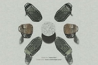 Leaf-Inspired Modern Lounge Chairs Image 3