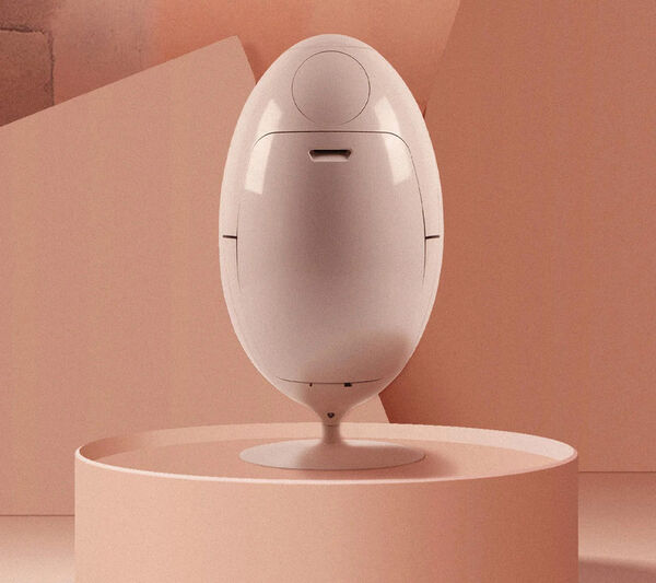 Versatile Egg-Shaped Waste Bins
