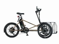Tilting Electric Trikes Image 3