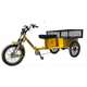 Multi-Seat Rickshaw Bikes Image 1