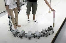 Maneuverable Centipede Robots