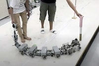 Maneuverable Centipede Robots