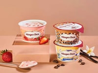 Decadent Yogurt Snacks