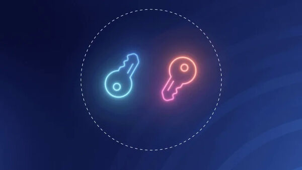 Biometric Sensor Password Authentication: 1Password's Passkey Support ...