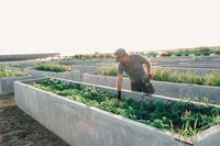 Exclusive Employee Farms Image 3