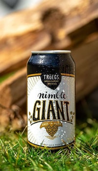Tropical Double IPAs Image 1