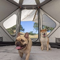 Consolidated Camping Shelters Image 3