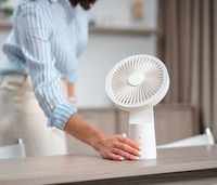 Lamp-Equipped Fan Designs Image 4