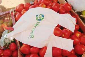 Plant-Based Bioplastic Bags Article Thubnail